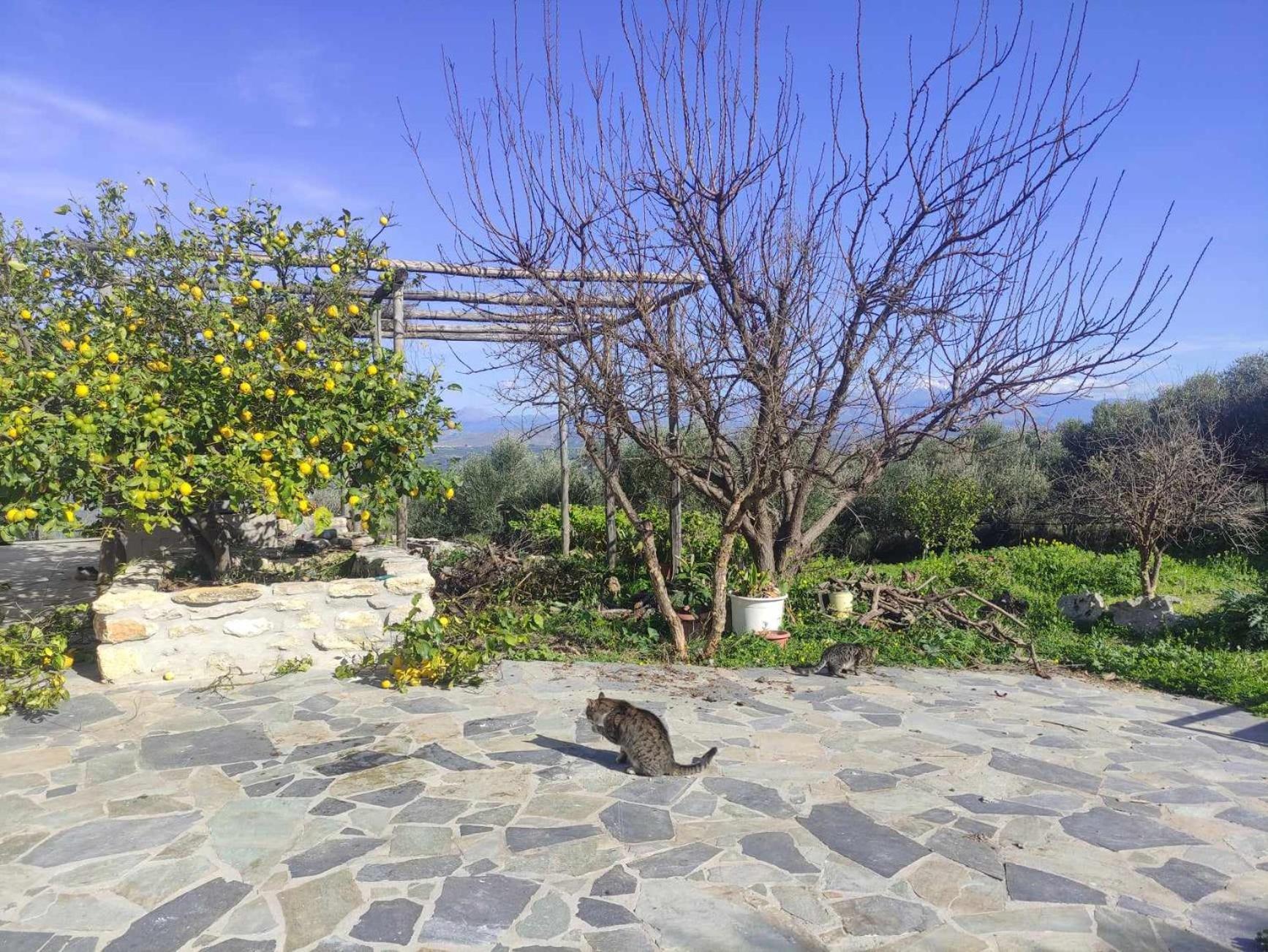 Aletraki -Off-Grid Retreat Above Heraklion, Peaceful Views Archanes Exteriér fotografie